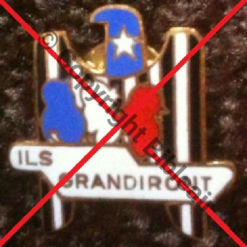 ECOLE DE PILOTAGE  AUX USA PINS  SM Attach PINS MINIATURE AMICALE Src.cedrik65 30Eur(x2) 